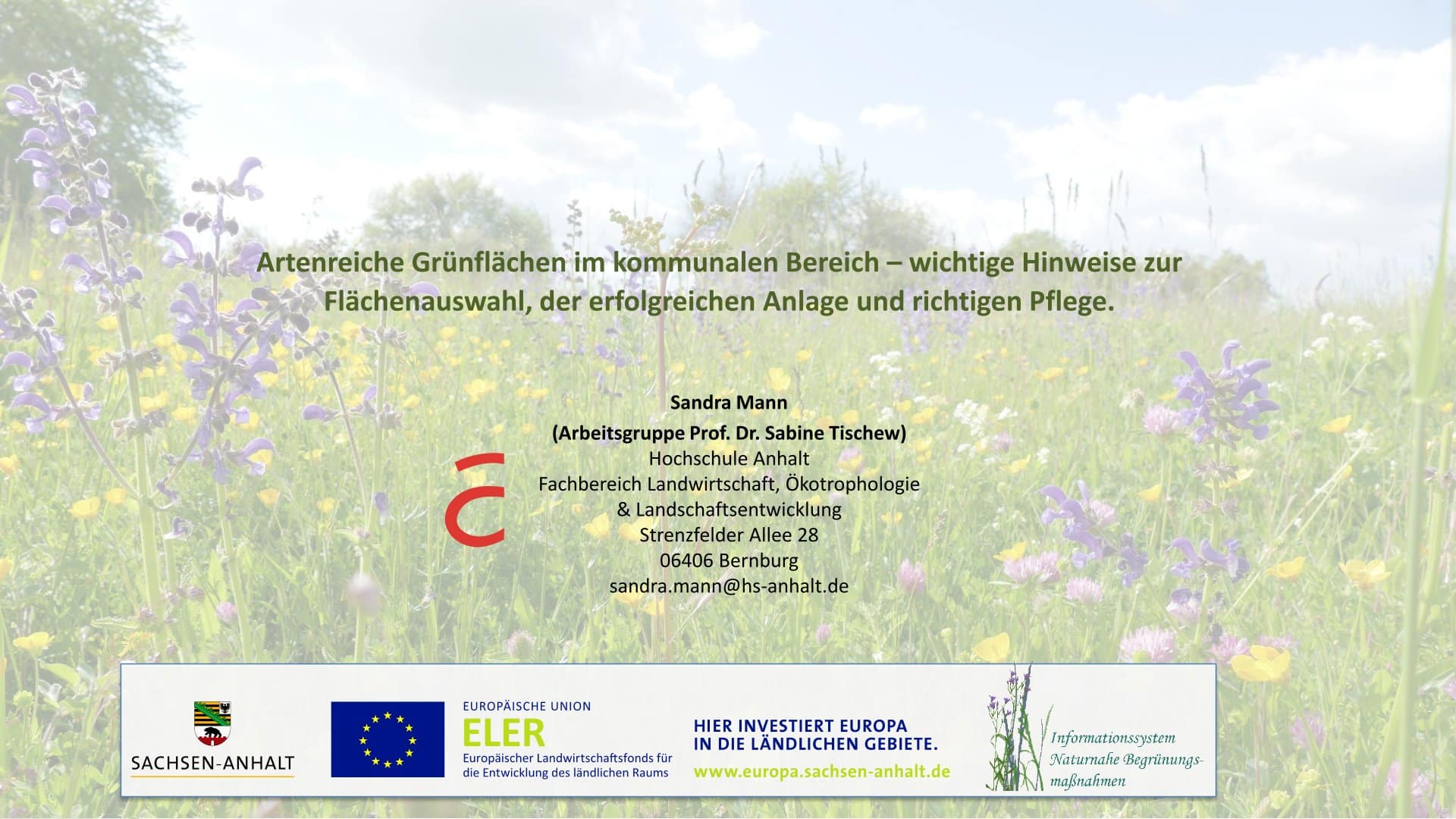 Artenreiche Grünflächen im kommunalen Bereich