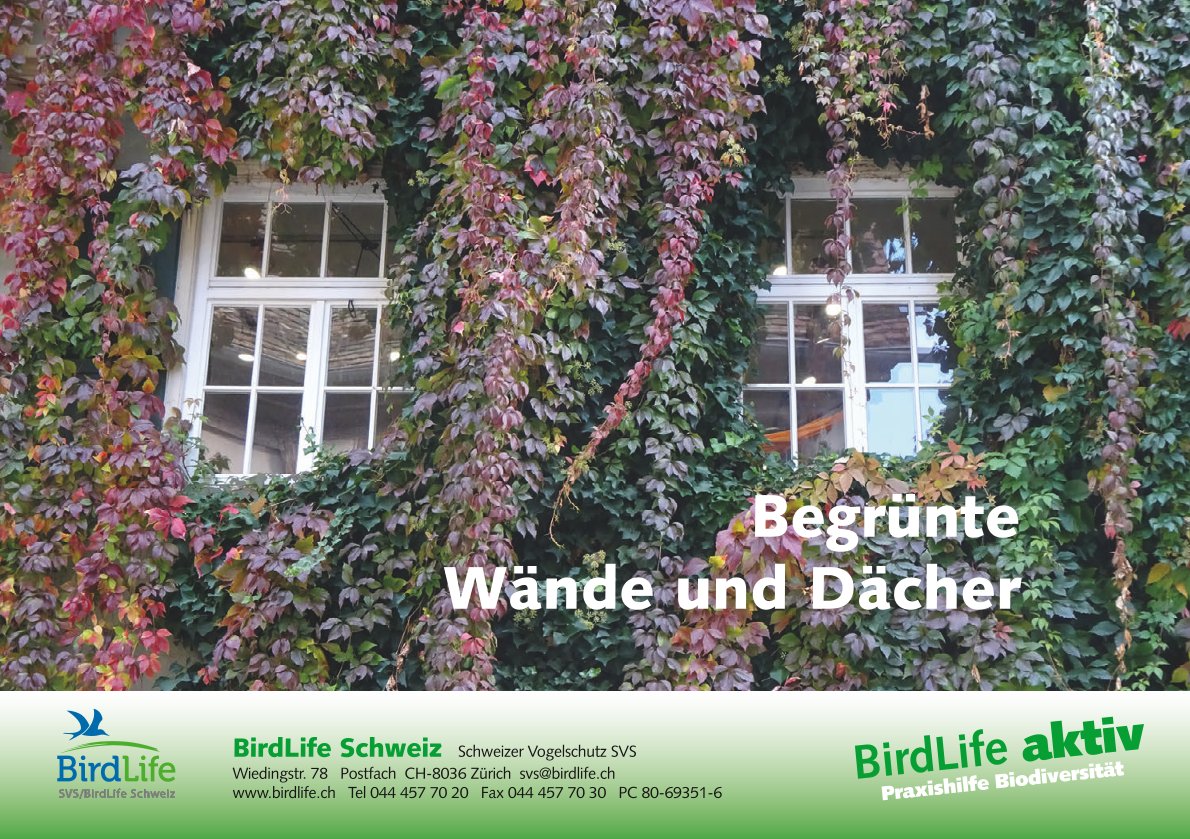 Begrünte Wände und Dächer
