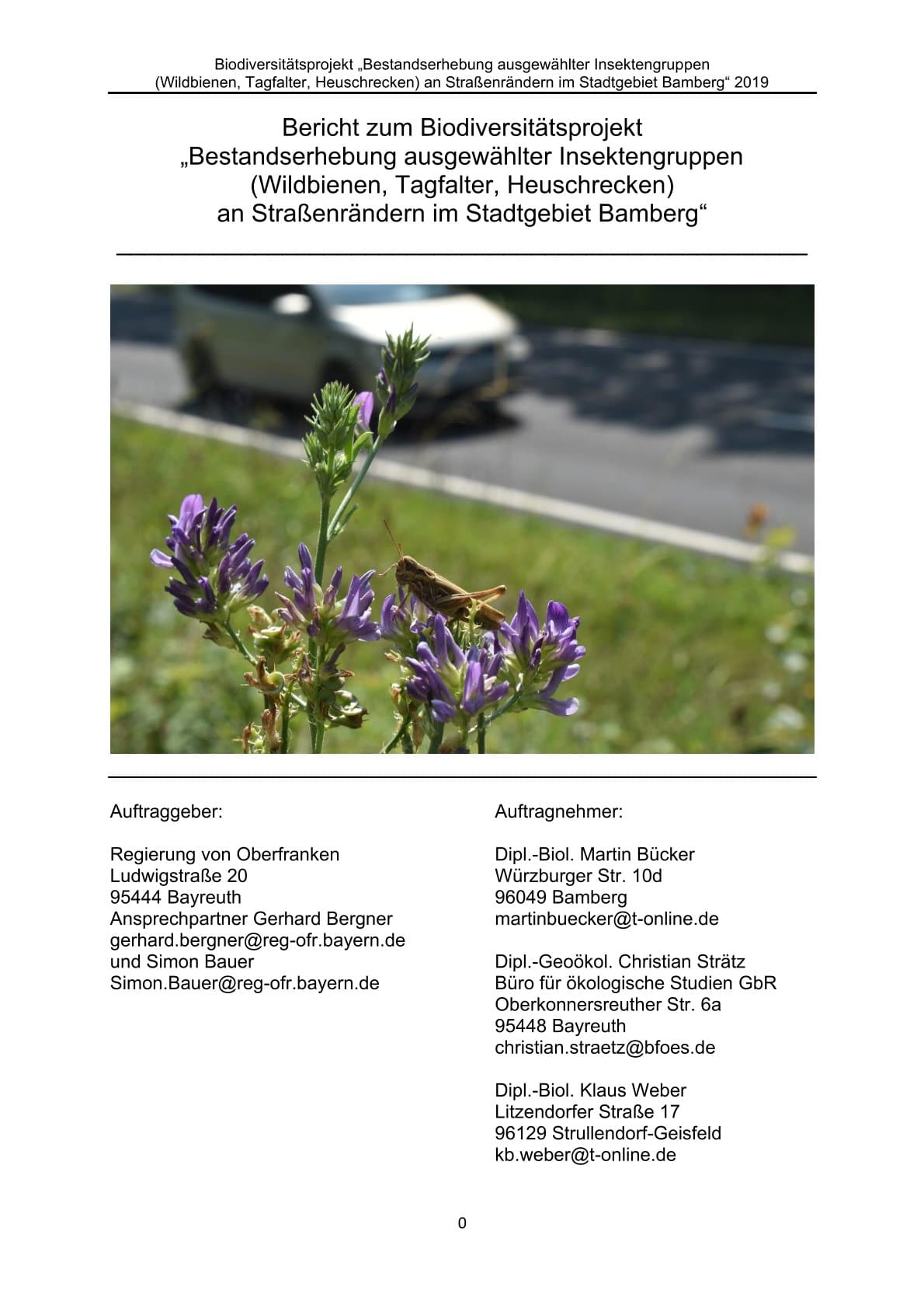Bericht zum Biodiversitätsprojekt - Bestandserhebung ausgewählter Insektengruppen an Straßenrändern im Stadtgebiet Bamberg