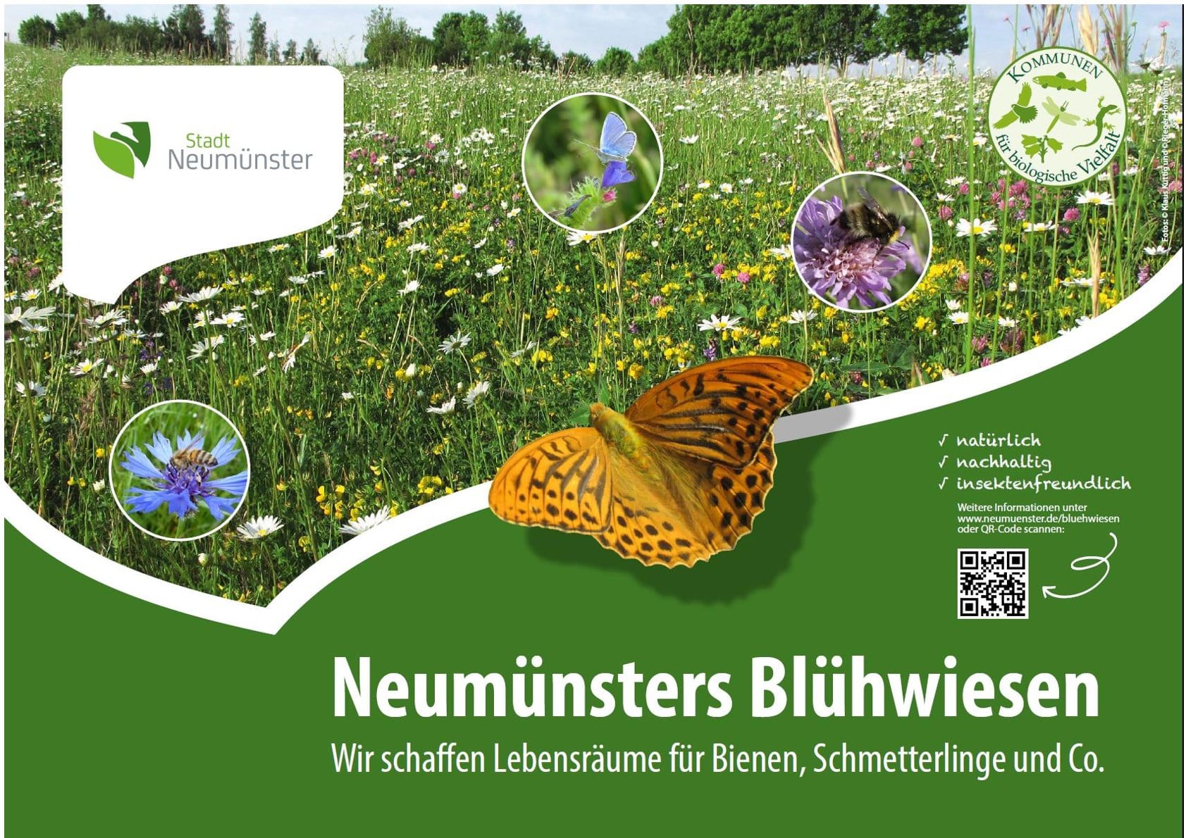 Beschilderung Neumünsters Blühwiesen