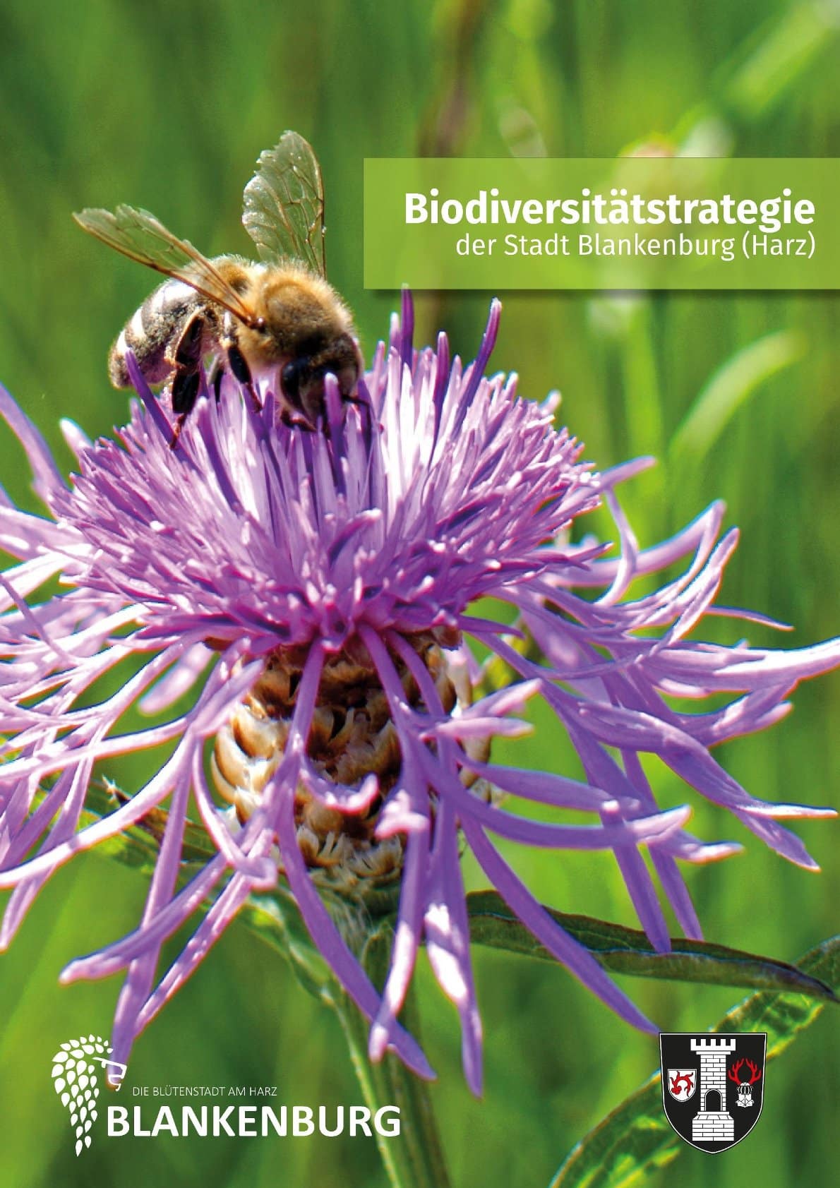 Biodiversitätsstrategie Blankenburg 2021