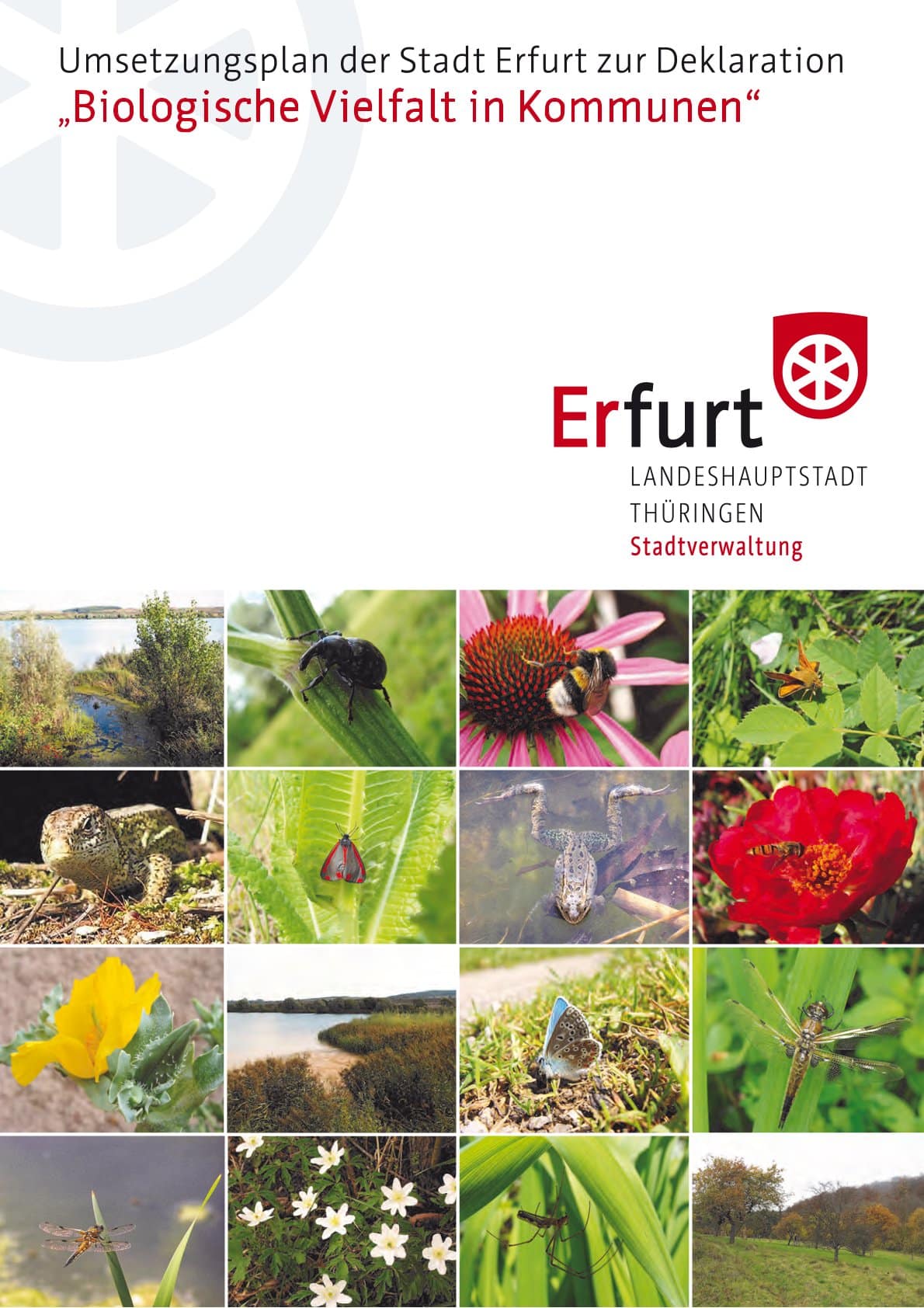 Biodiversitätsstrategie Erfurt 2012