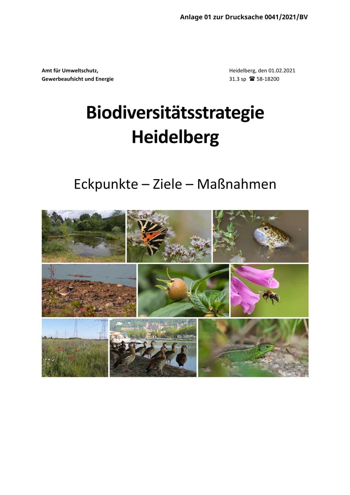 Biodiversitätsstrategie Heidelberg 2021