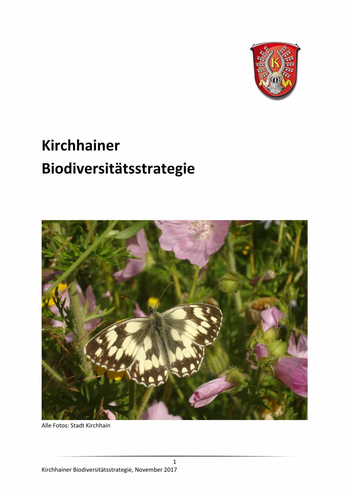 Biodiversitätsstrategie Kirchhain 2017
