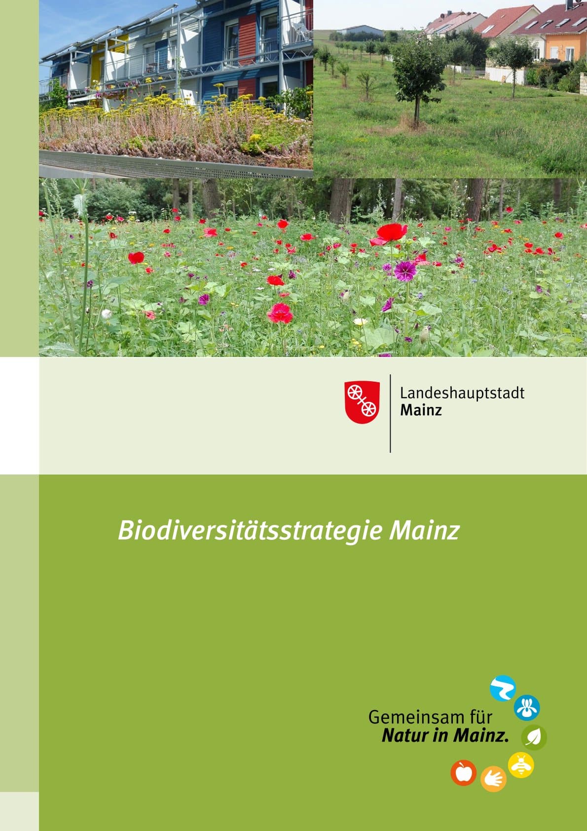 Biodiversitätsstrategie Mainz 2020