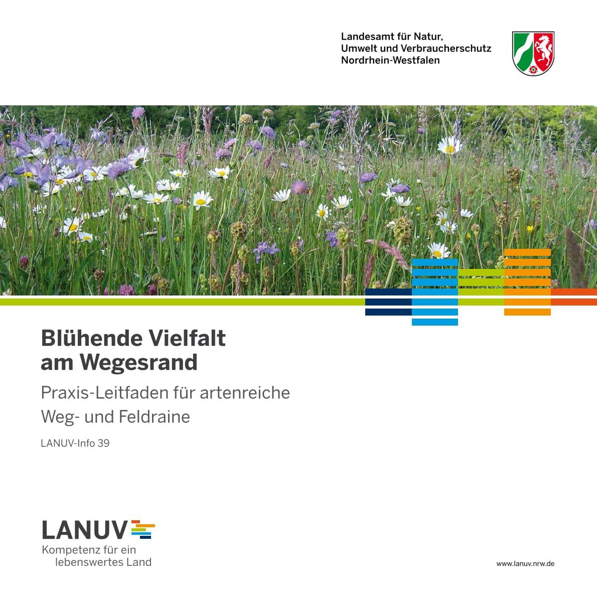 Blühende Vielfalt am Wegesrand