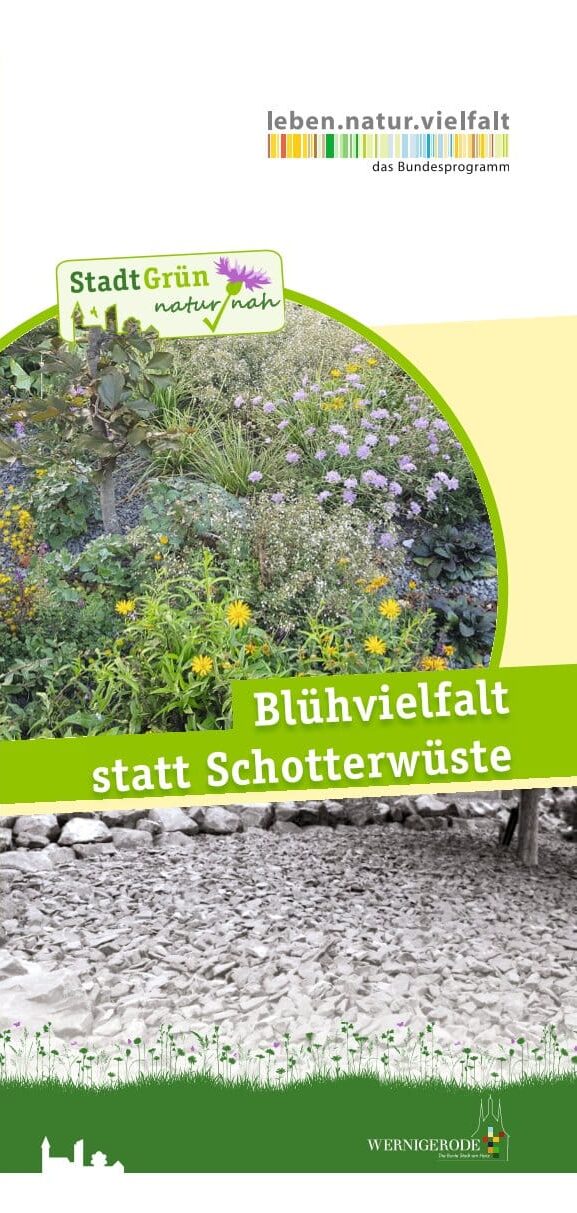 Blühvielfalt statt Schotterwüste