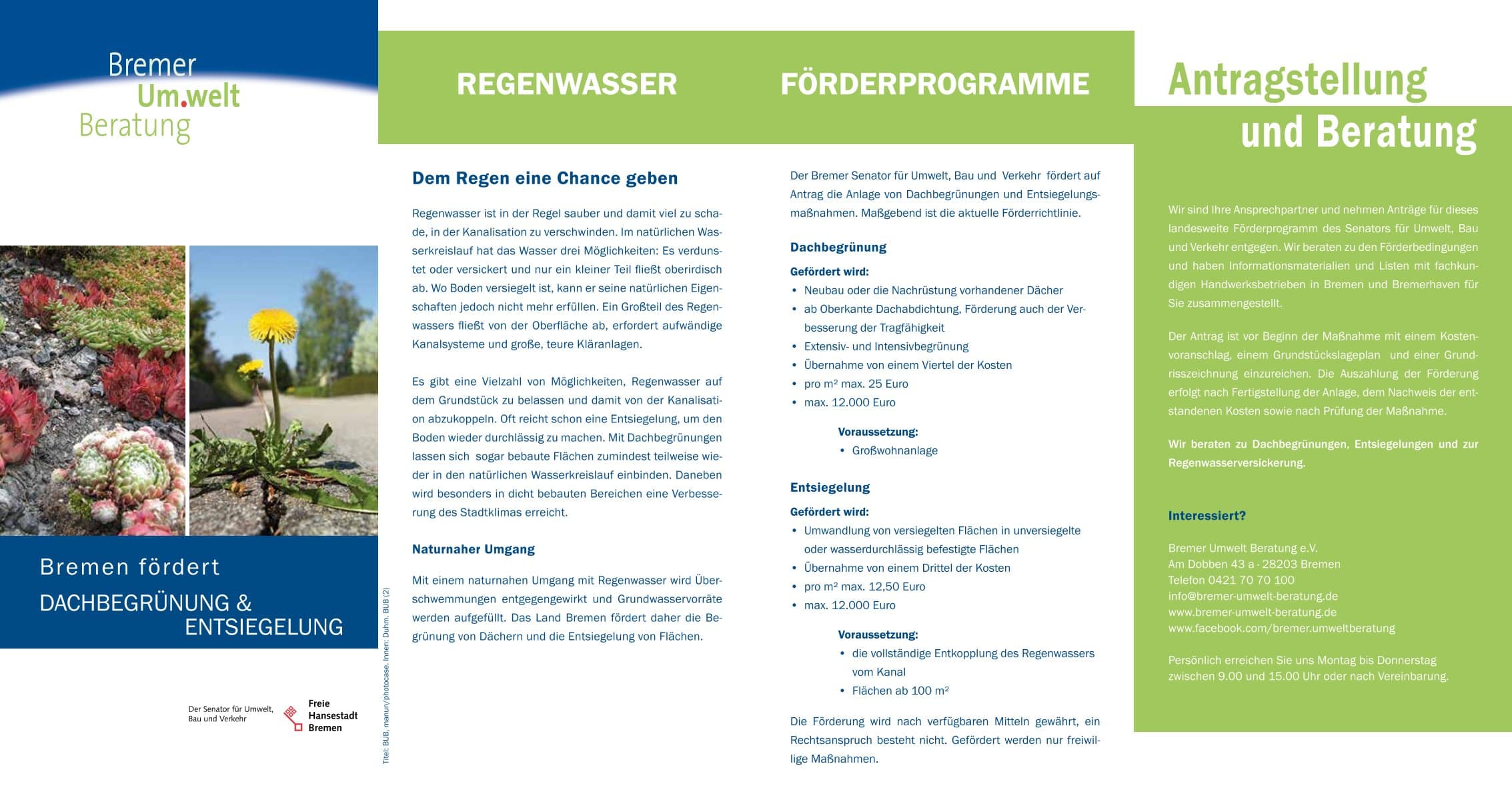 Bremen fördert Dachbegrünung & Entsiegelung