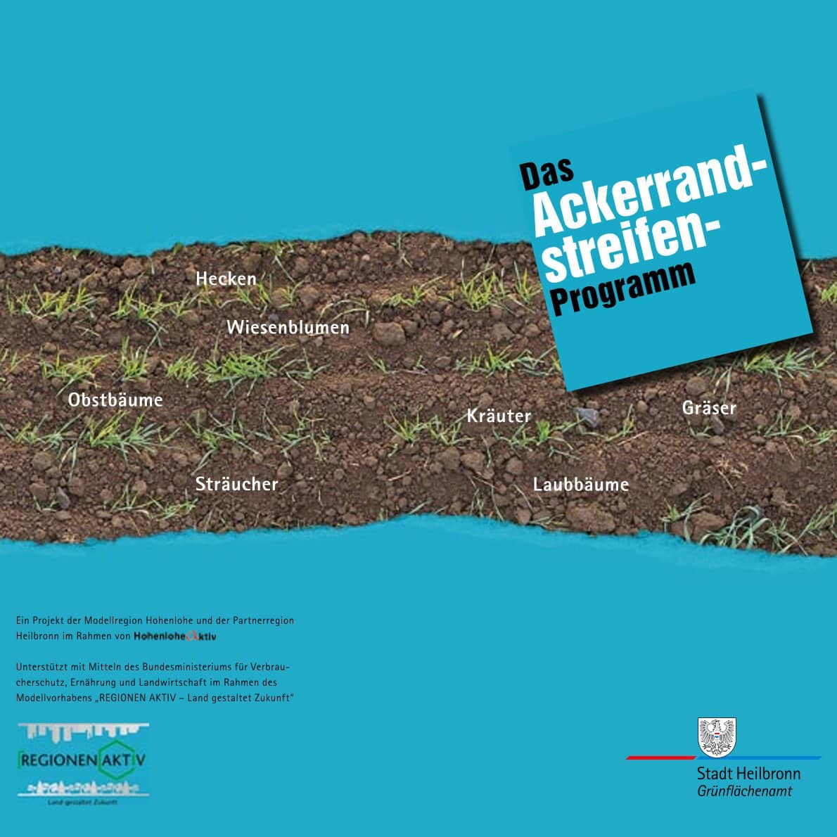 Das Ackerrandstreifen-Programm Heilbronn