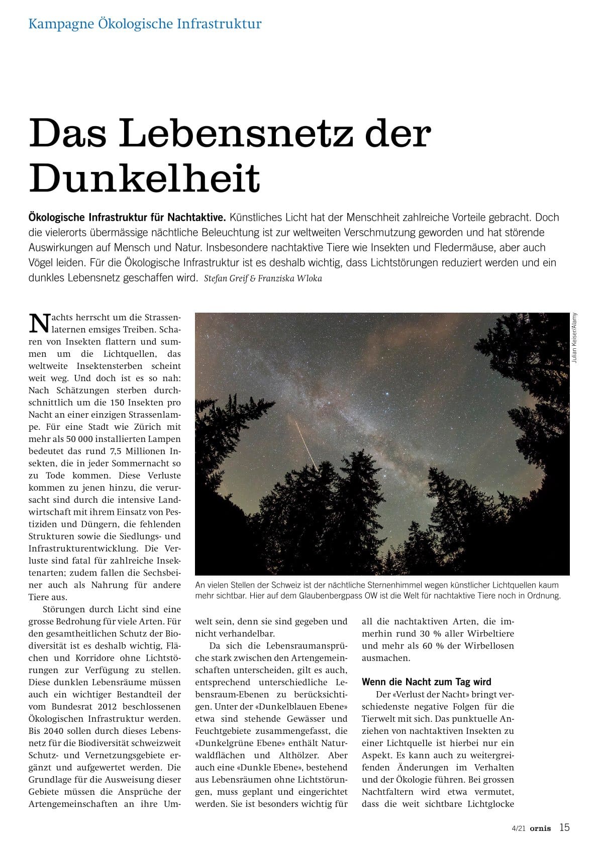 Das Lebensnetz der Dunkelheit