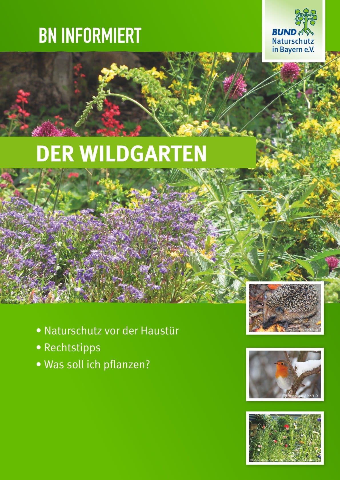 Der Wildgarten