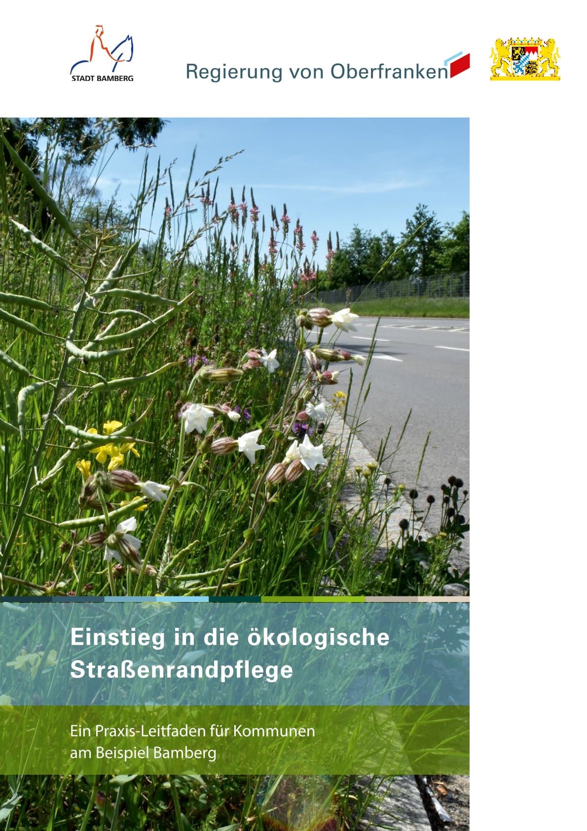 Einstieg in die ökologische Straßenrandpflege