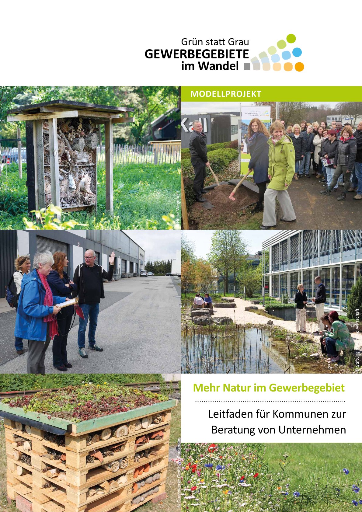 Grün statt Grau - Mehr Natur im Gewerbegebiet