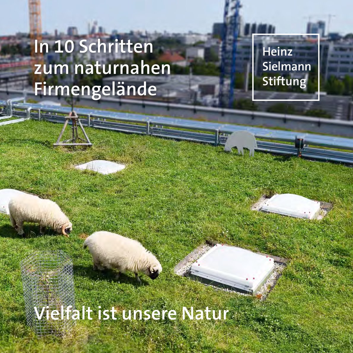 In 10 Schritten zum naturnahen Firmengelände