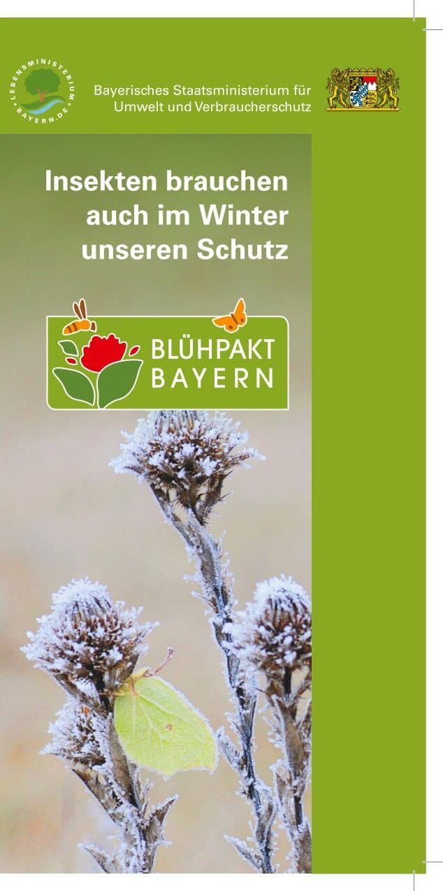 Insekten brauchen auch im Winter unseren Schutz