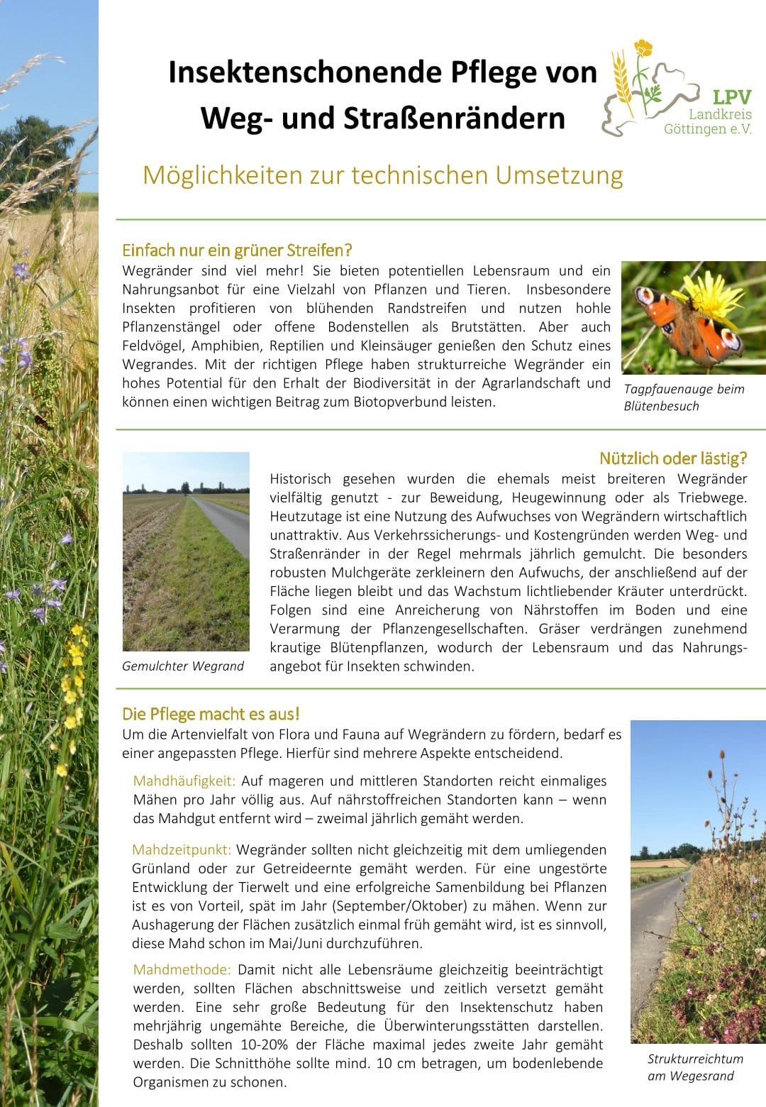 Insektenschonende Pflege von Weg- und Straßenrändern
