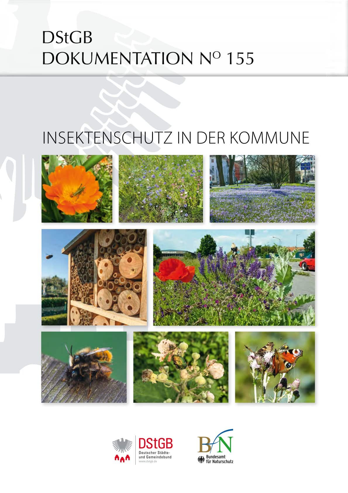 Insektenschutz in der Kommune