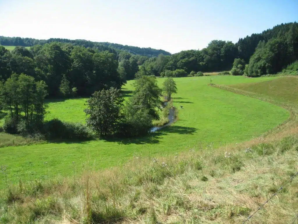 Kommunen für biologische Vielfalt - Mitglied - Stadt Ennepetal - Profil - Ausgleichsfläche in Ennepetal Burg