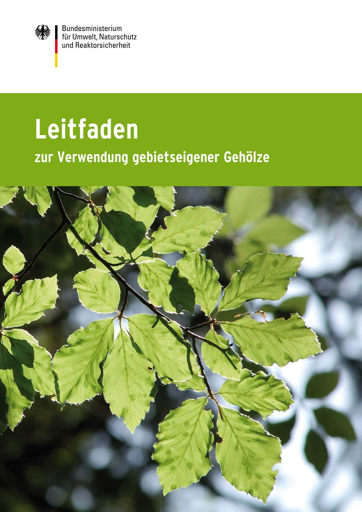 Leitfaden zur Verwendung gebietseigener Gehölze