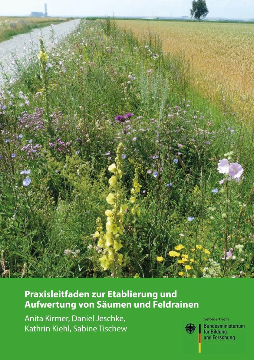 Praxisleitfaden zur Etablierung und Aufwertung von Säumen und Feldrainen