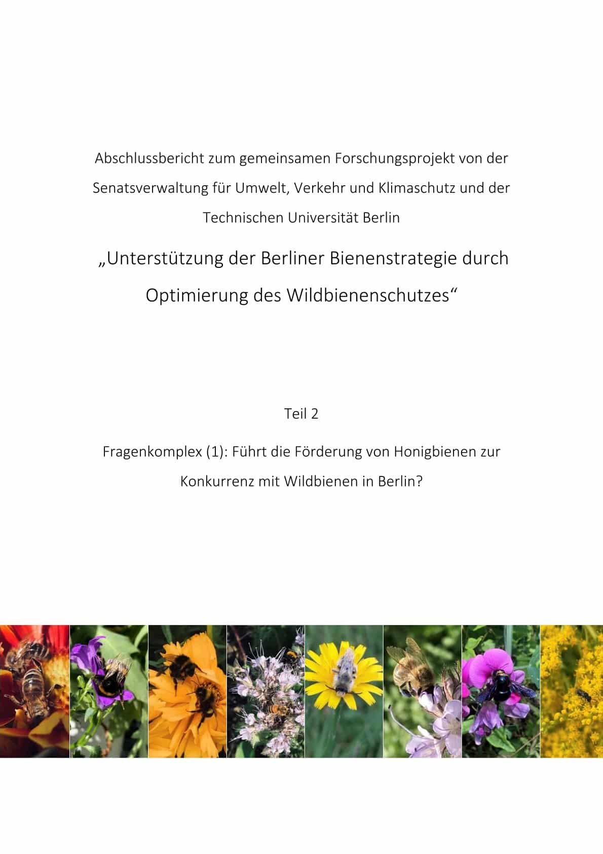 Unterstützung der Berliner Bienenstrategie durch Optimierung des Wildbienenschutzes