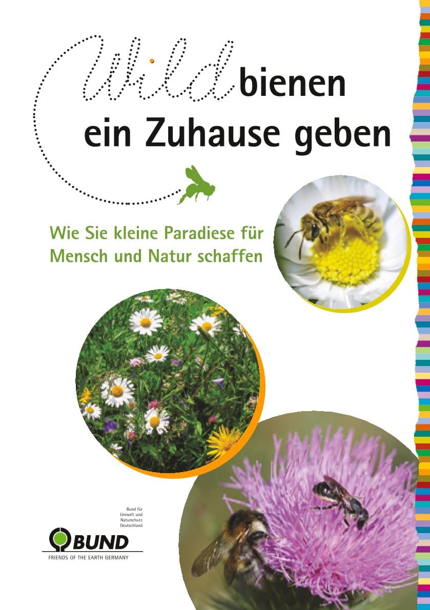Wildbienen ein Zuhause geben