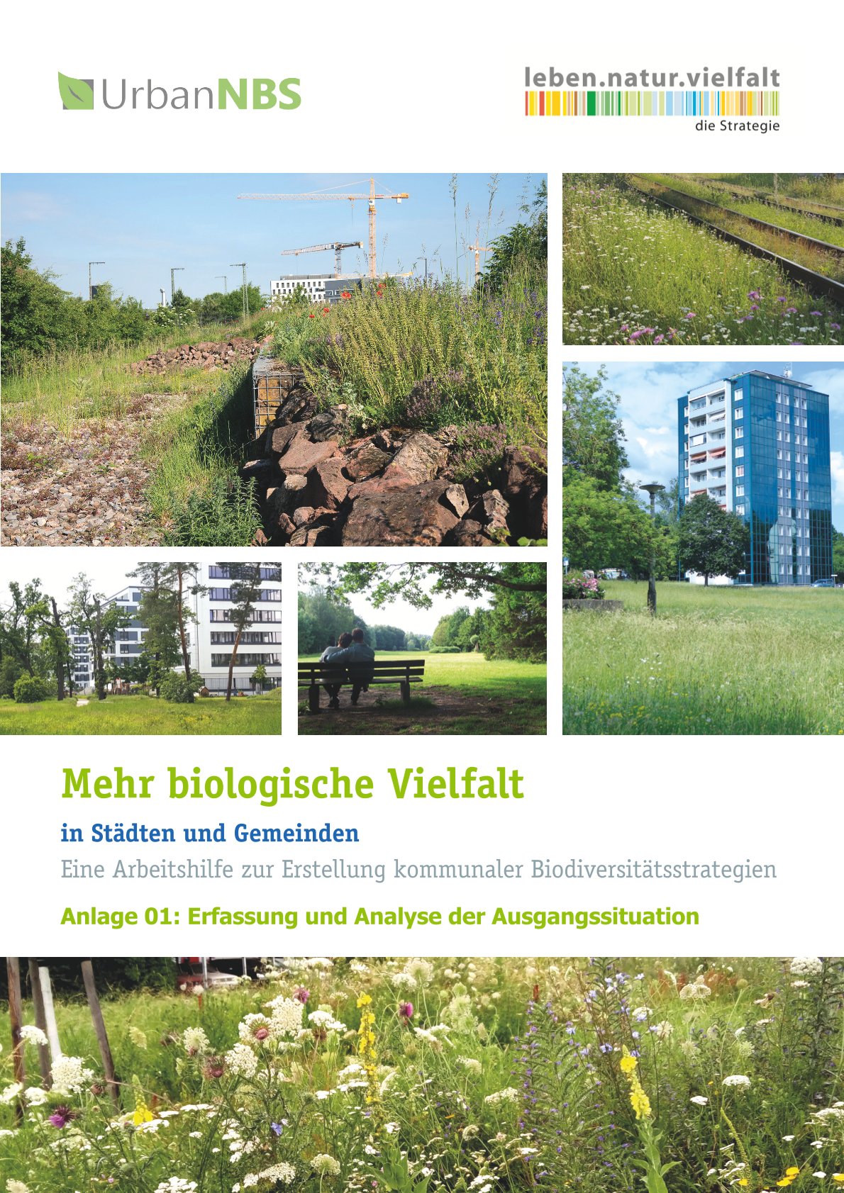 UrbanNBS - Mehr biologische Vielfalt in Städten und Gemeinden - Anlage 01 Erfassung und Analyse der Ausgangssituation