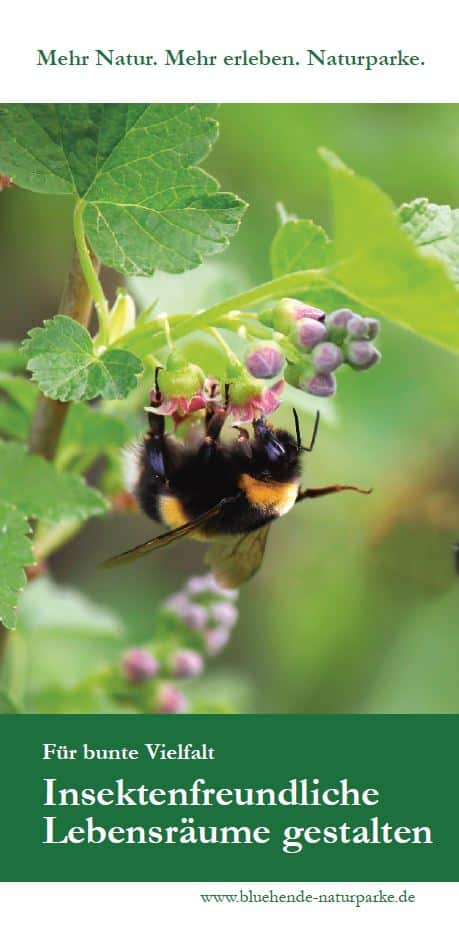 Insektenfreundliche Lebensräume gestalten