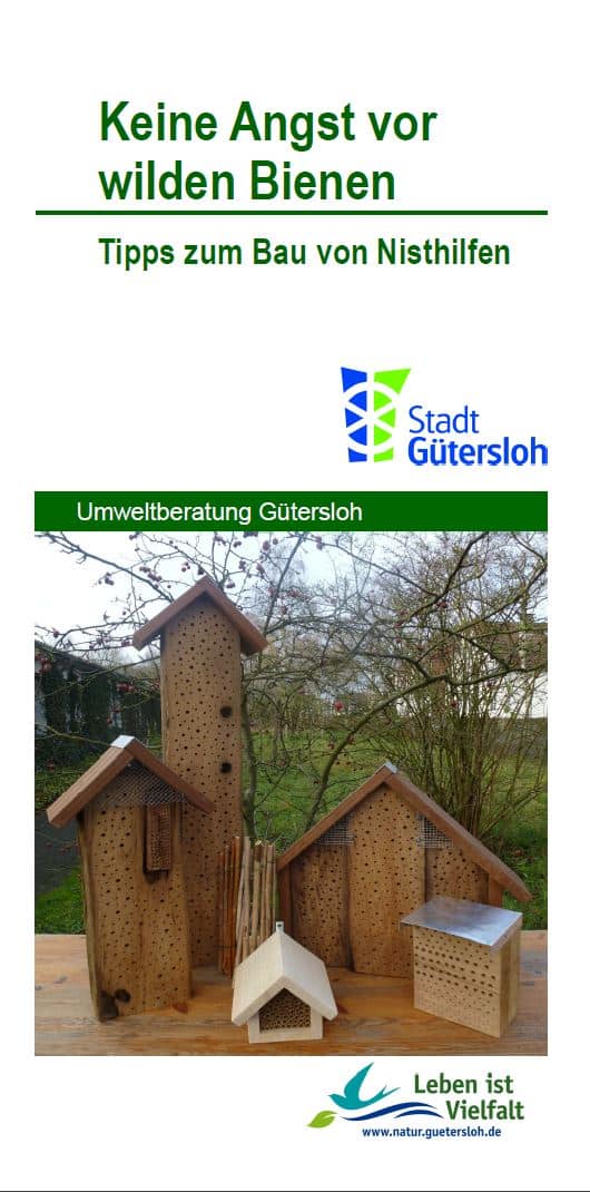 Keine Angst vor wilden Bienen