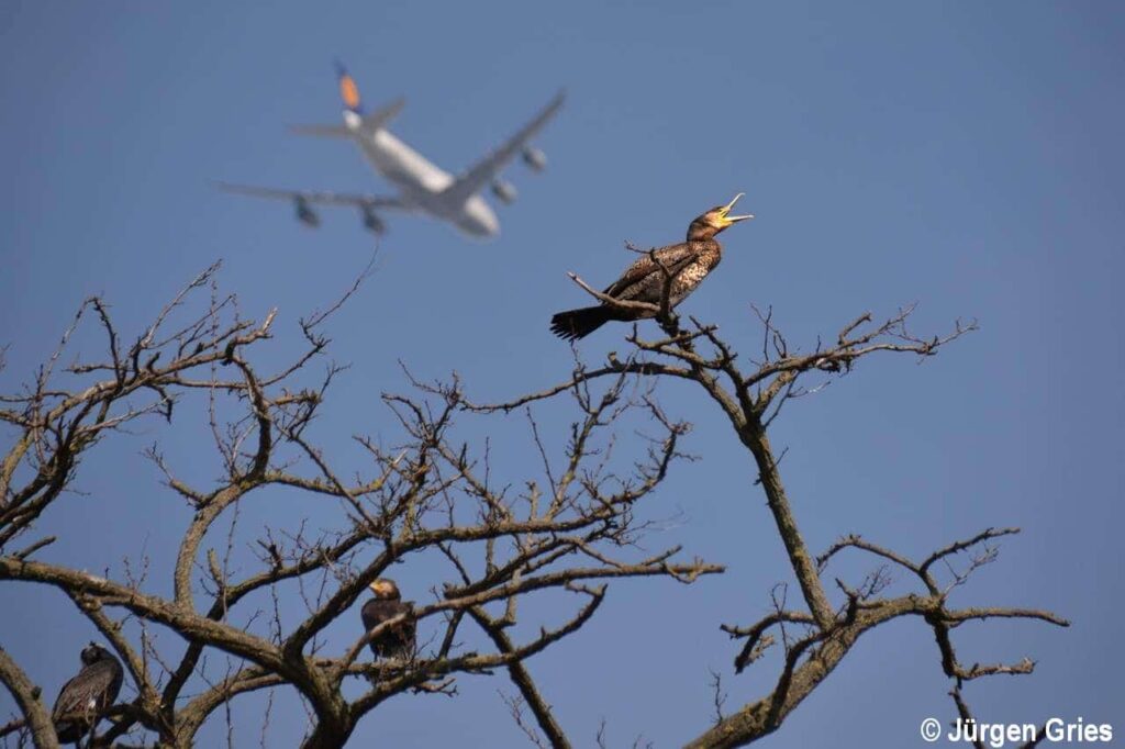 news wunderwelten ich kann auch laut sein