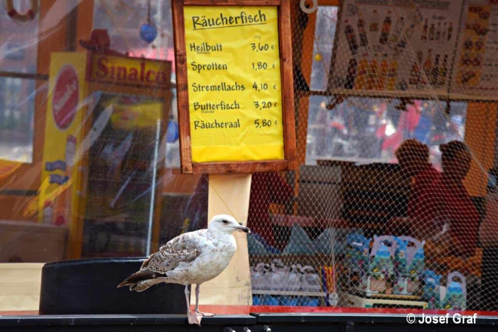 news wunderwelten mit speisekarte