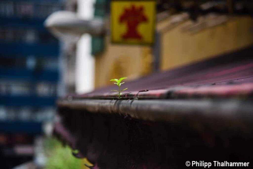 news wunderwelten natur in hongkong