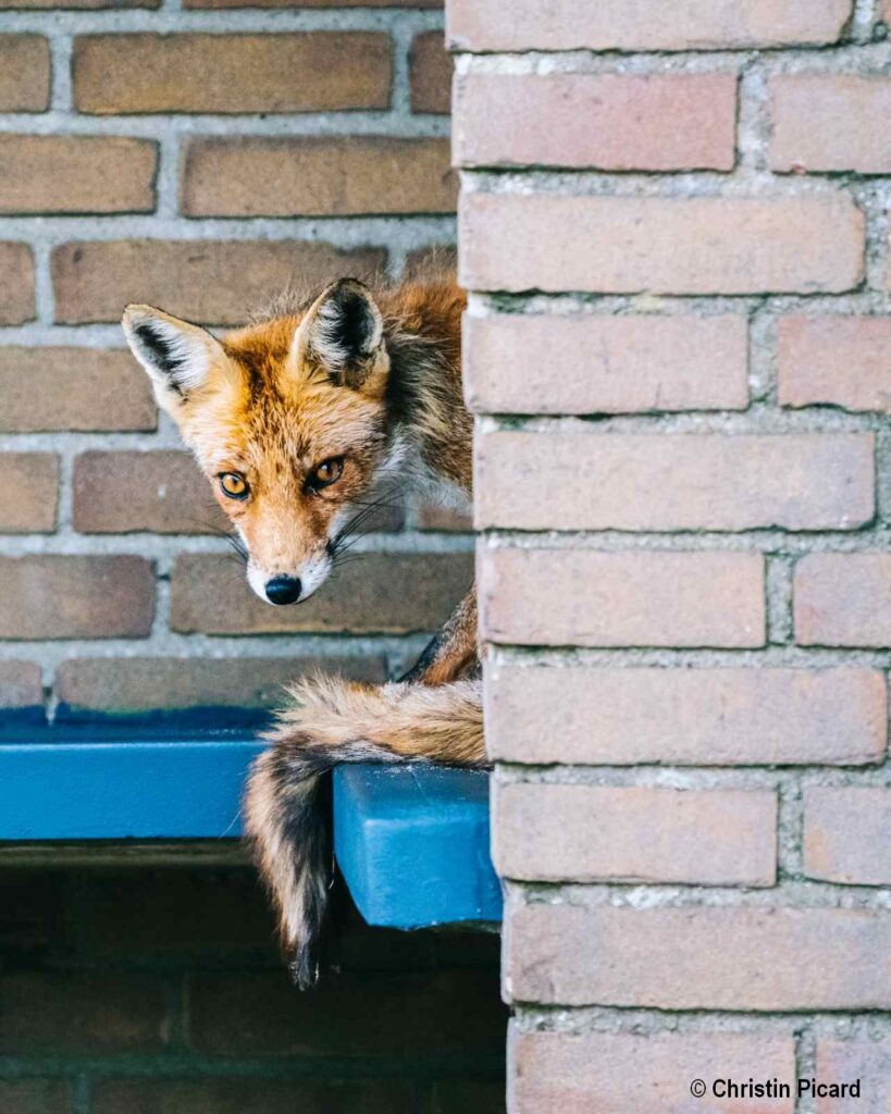 news wunderwelten waiting for the bus