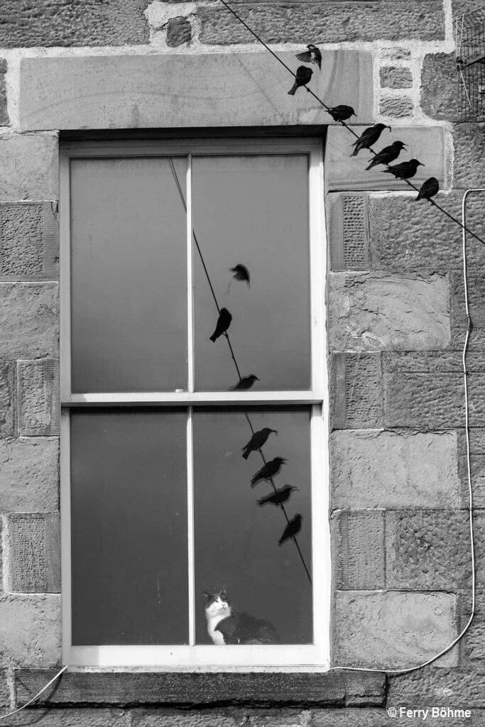 news wunderwelten zimmer mit aussicht