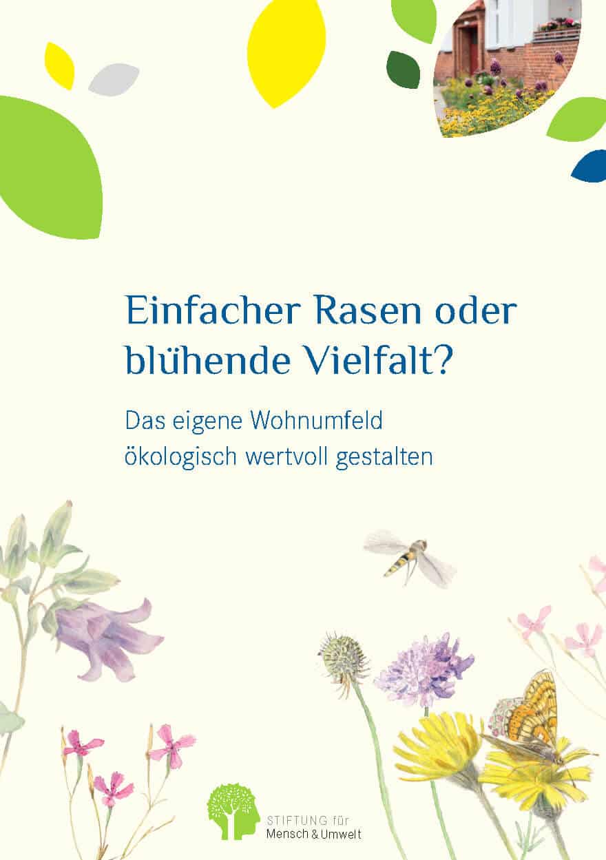 Einfacher Rasen oder blühende Vielfalt