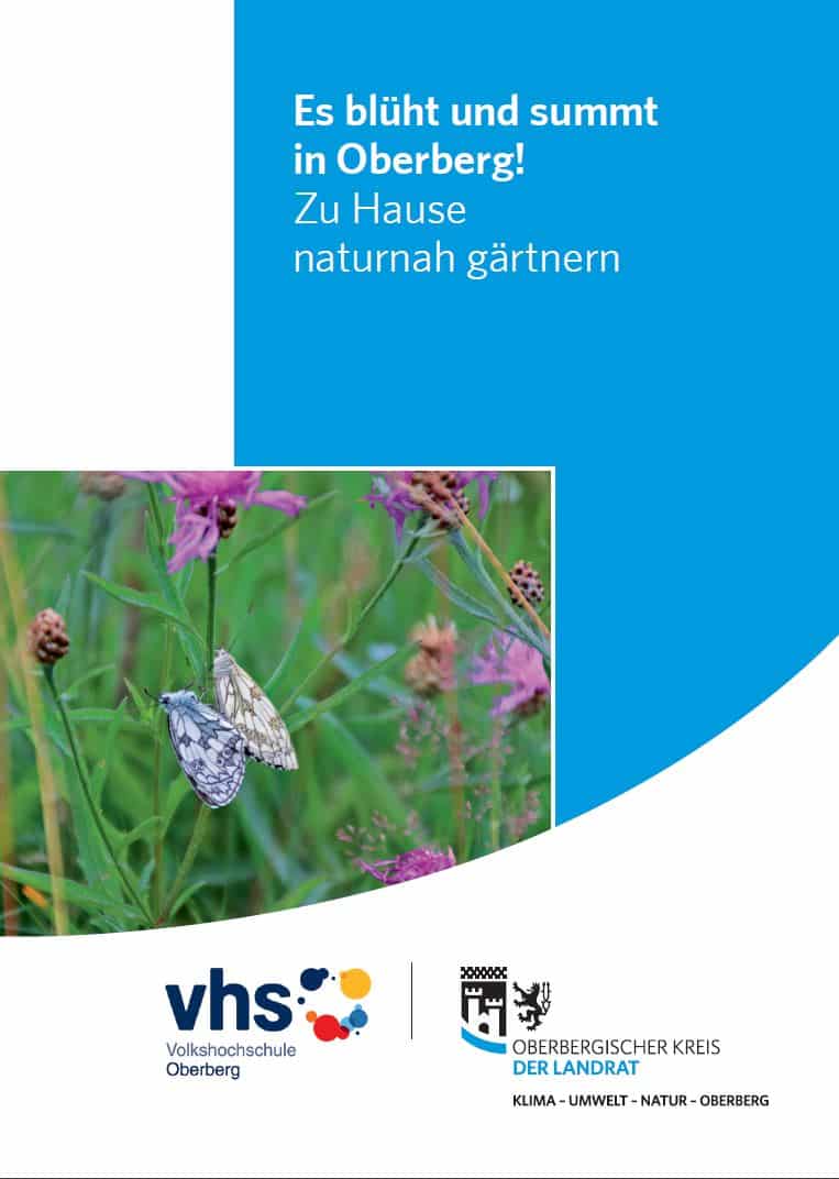 Es blüht und summt in Oberberg!