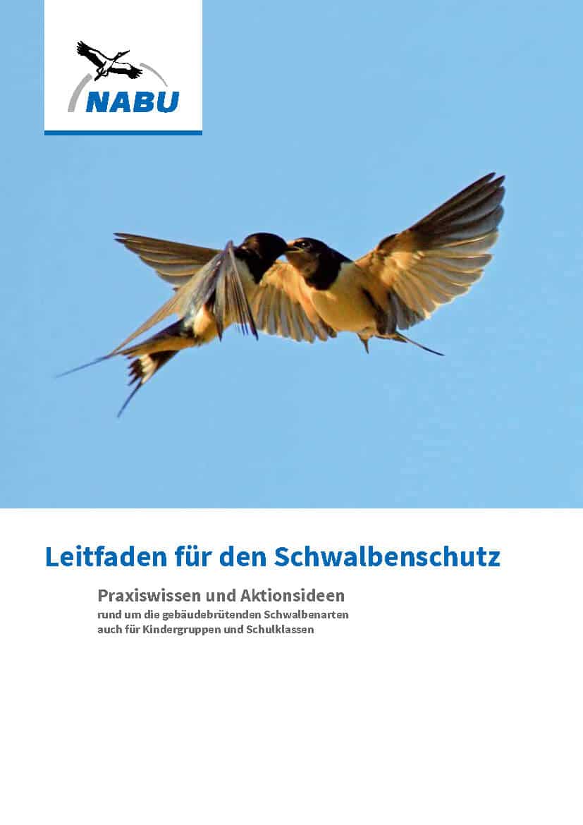 Leitfaden für den Schwalbenschutz