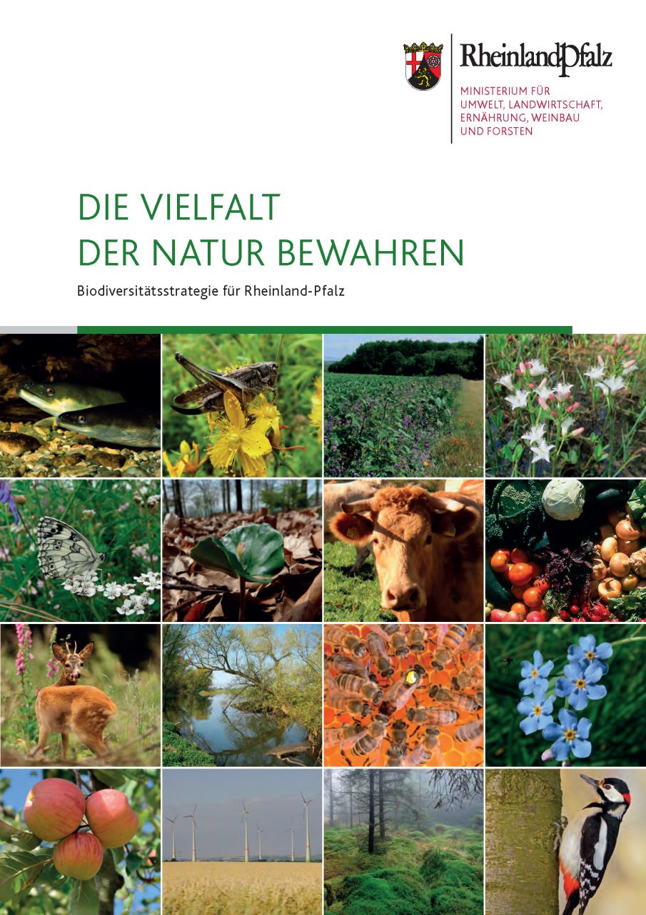 Biodiversitätsstrategie Rheinland-Pfalz 2015