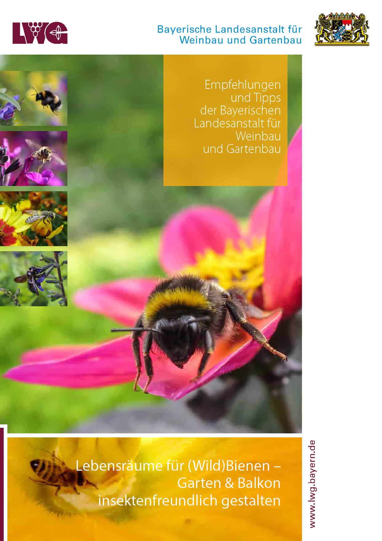 Lebensräume für (Wild)Bienen
