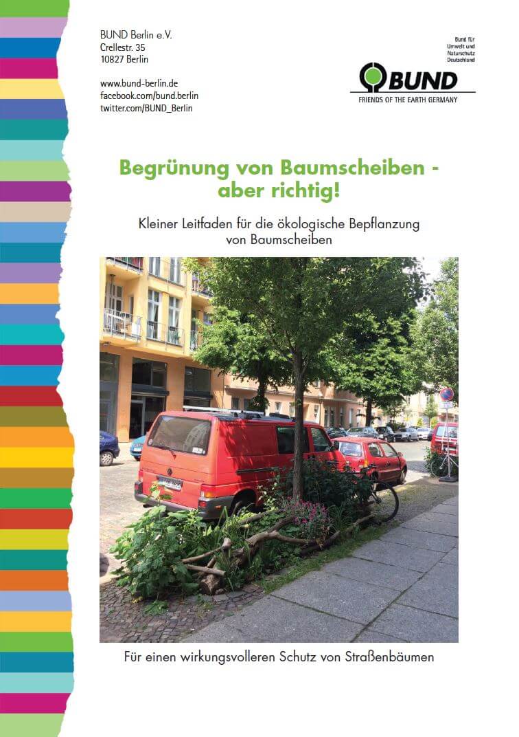 Begrünung von Baumscheiben