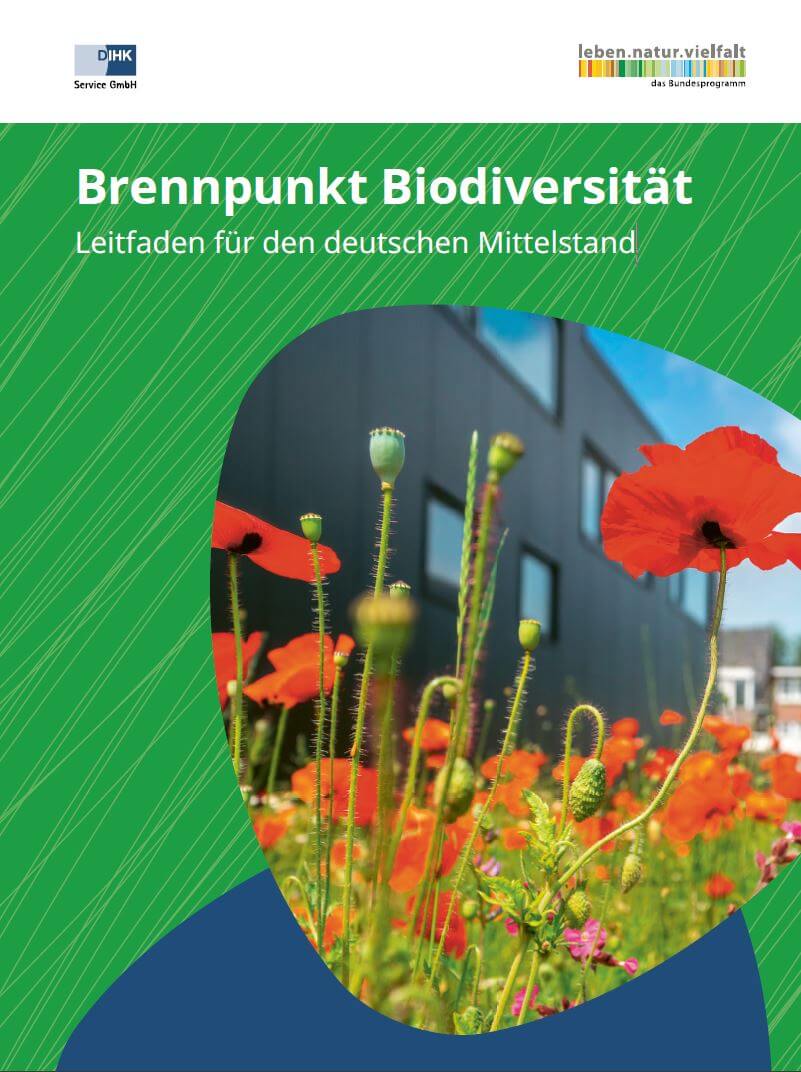 Brennpunkt Biodiversität