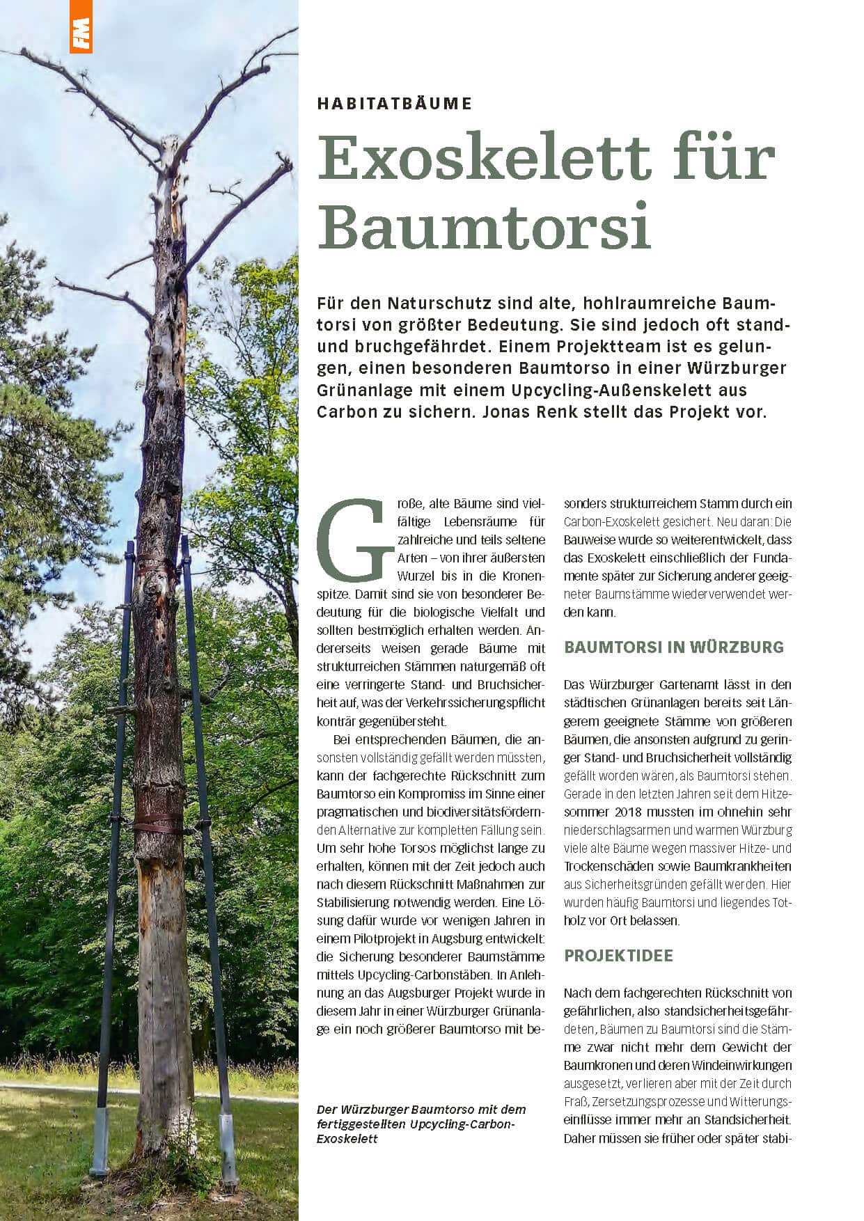 Exoskelett für Baumtorsi
