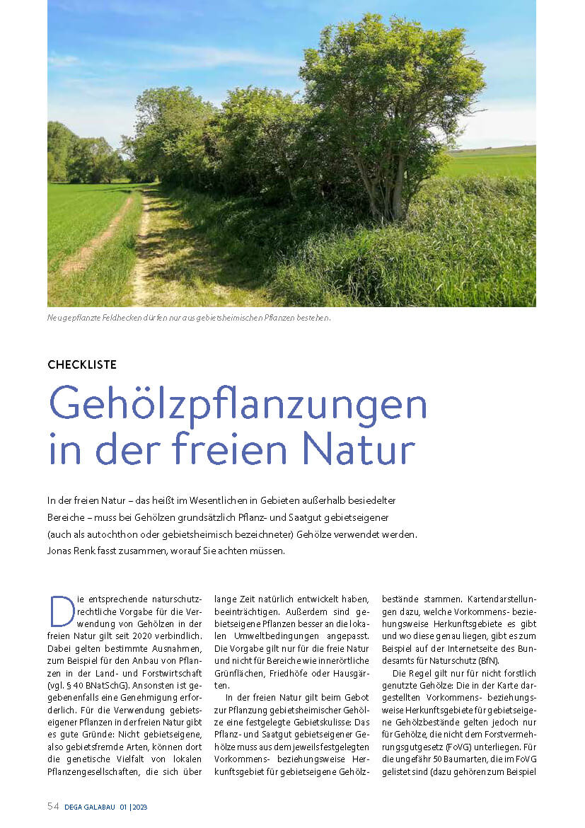 Gehölzpflanzungen in der freien Natur