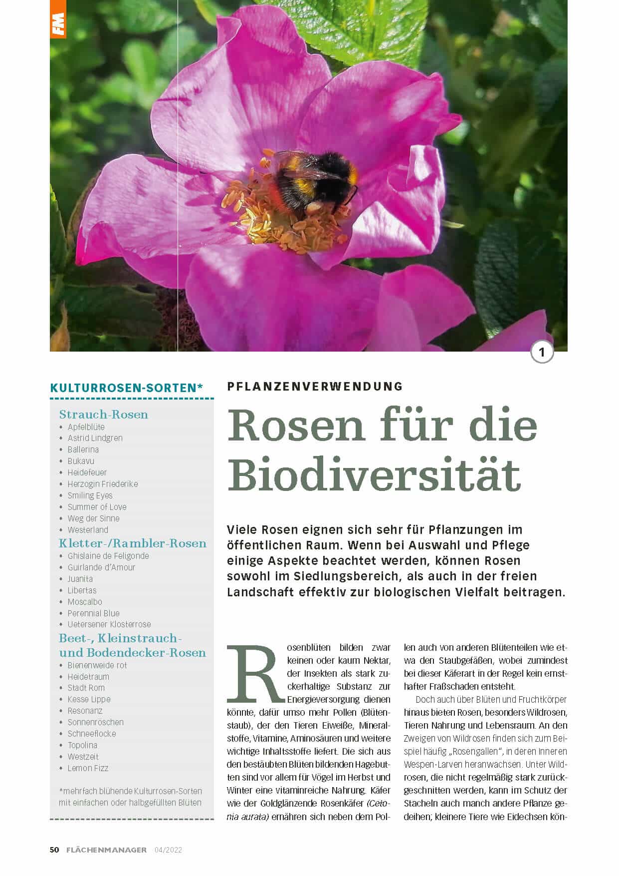 Rosen für die Biodiversität