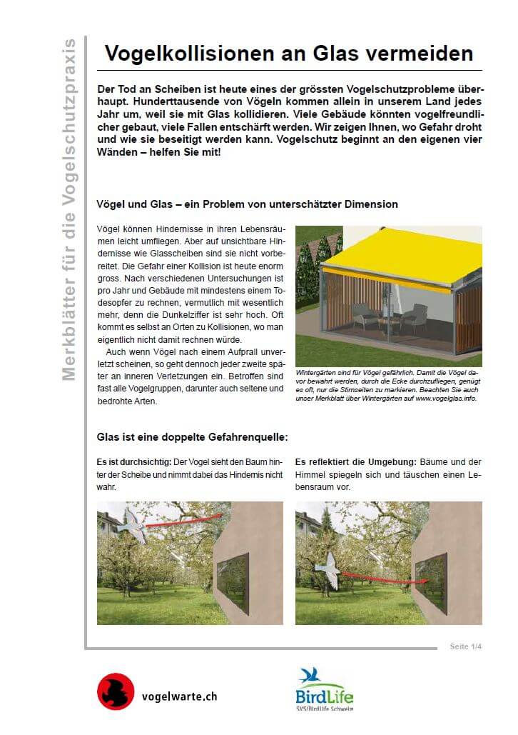 Vogelkollisionen an Glas vermeiden