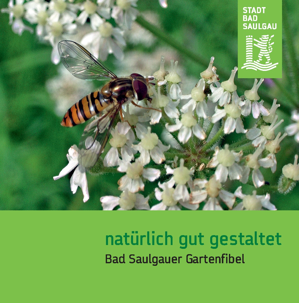 Bad Saulgauer Gartenfibel