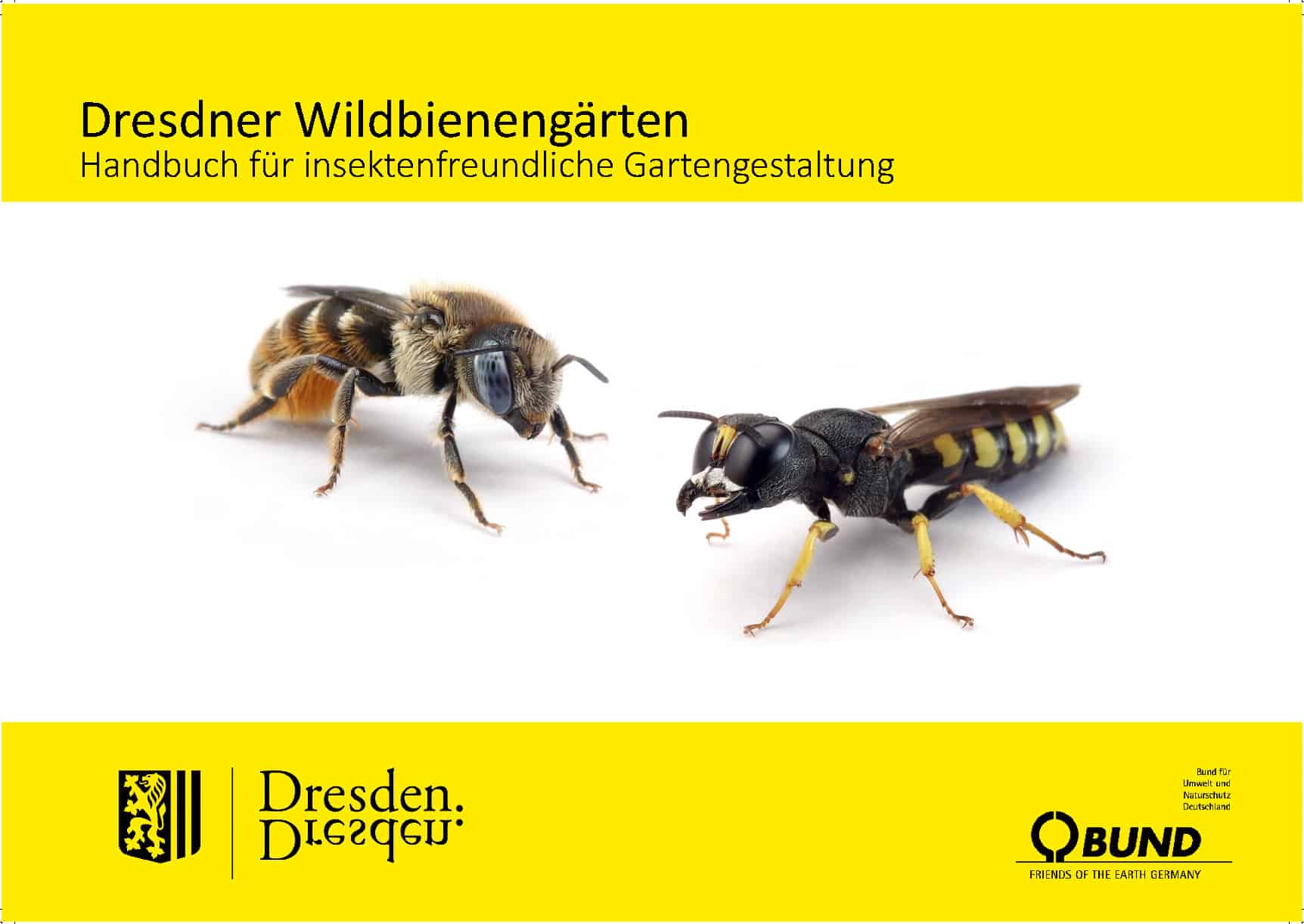 Dresdner Wildbienengärten