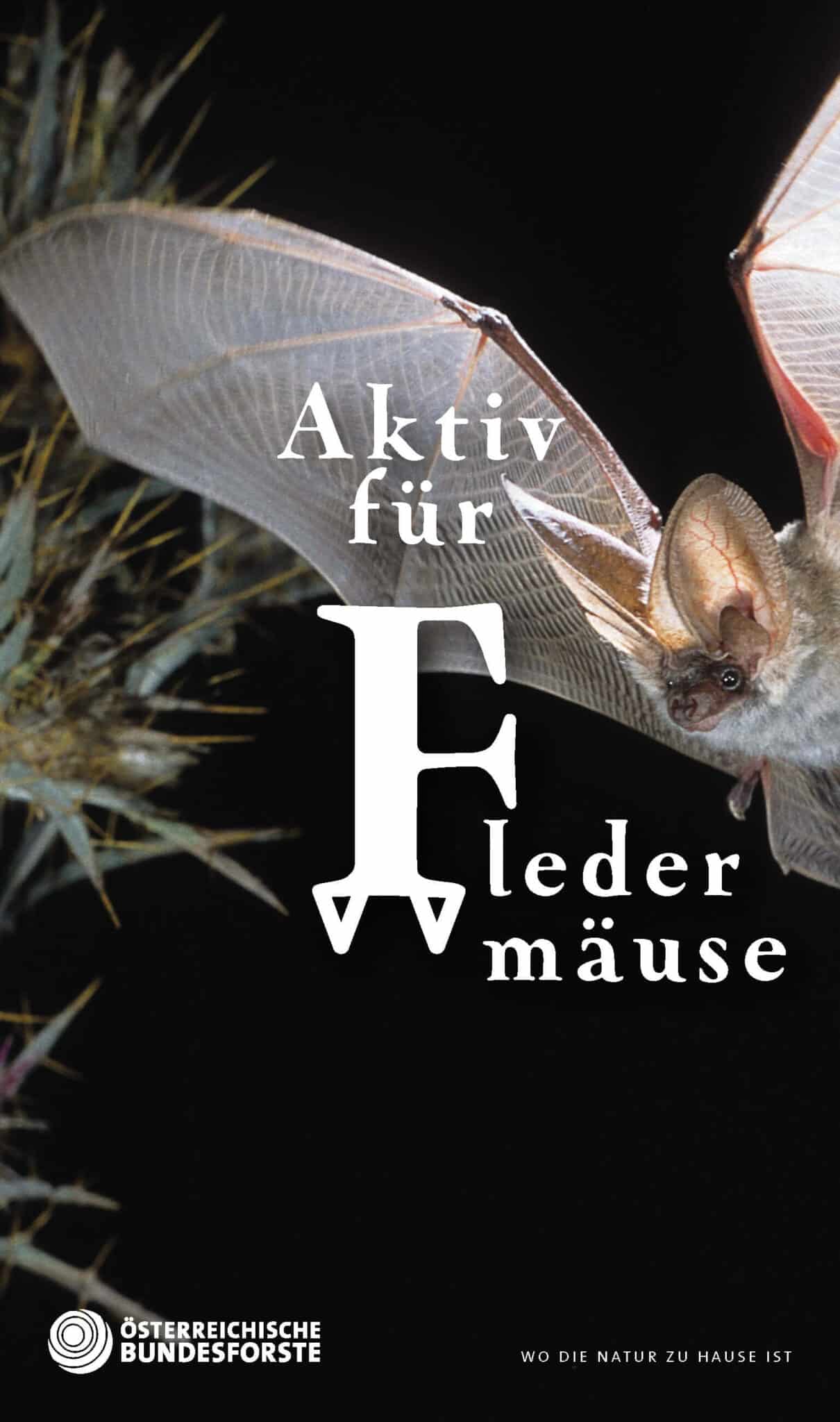 Aktiv für Fledermäuse