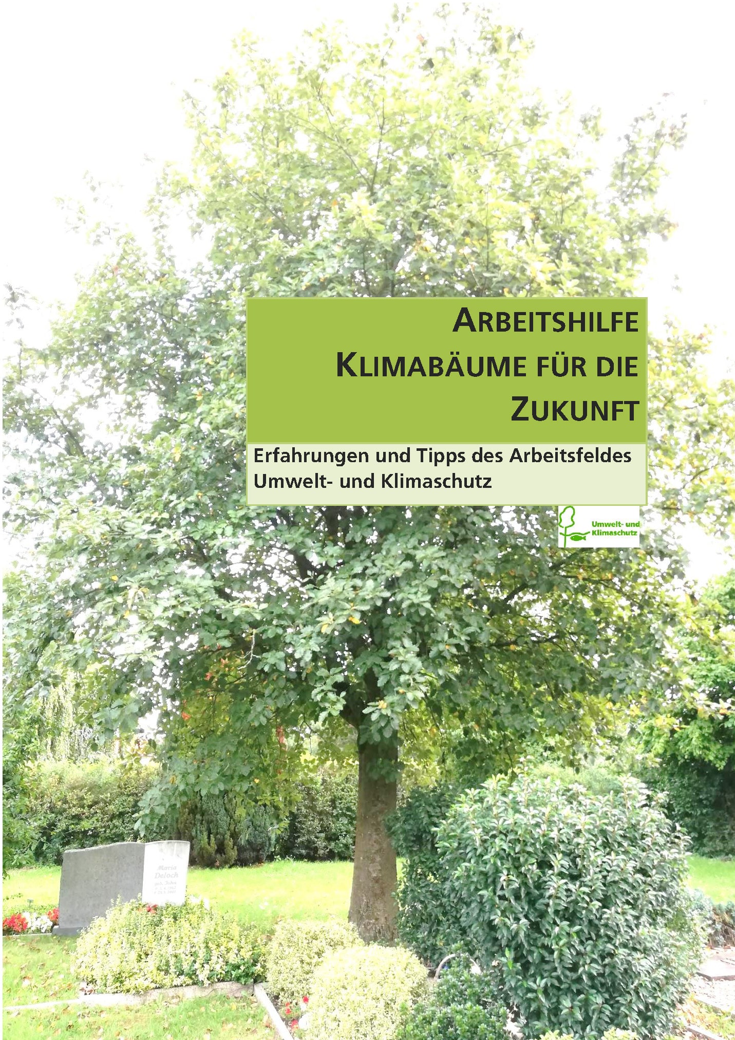 Arbeitshilfe Klimabäume für die Zukunft