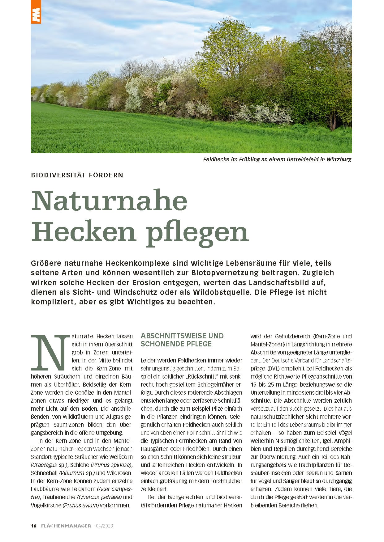 Naturnahe Hecken pflegen